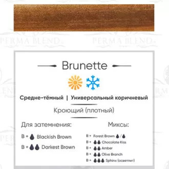 Пигмент для татуажа BRUNETTE - PERMA BLEND — изображение 2