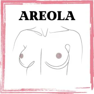 HANAFY Areole